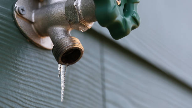 Best Residential Plumbing Services  in Interlachen, FL